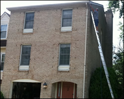 Bat exclusion in New Market VA